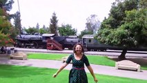 Railway Vehicles Fun Trains for Kids
