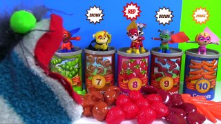 Paw Patrol Superhero Super Pups Learn Colors with Canned Food | Fizzy Fun Toys