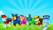 Surprise Eggs!!! Paw Patrol Toys - Игрушки Щенячий Патруль Киндер сюрприз и другие мультики!!!