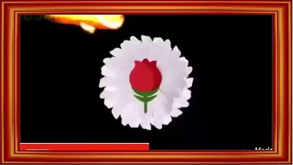 Good morning. and Juma Mubarak   whatsapp status 