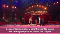 A Monaco, les animaux rois du cirque malgré les polémiques