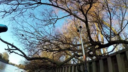 Sur la Tamise, la guerre contre le plastique est déclarée