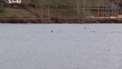 Samsun ) Prof.dr. Demir Tarımsal Kuraklık Riski ile Karşı Karşıyayız 1