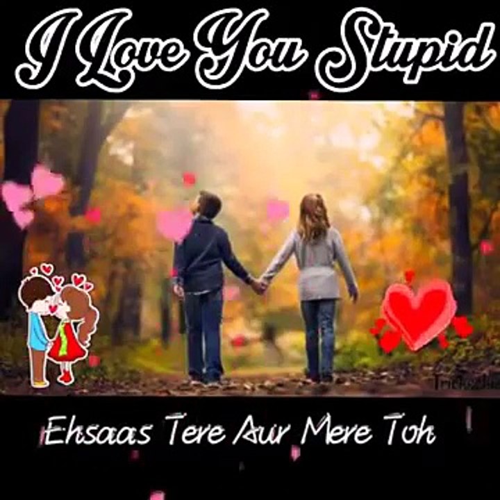 Whatsapp Status Video