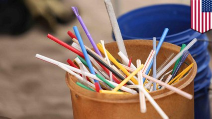 Campaigns look to end plastic straw use — good luck