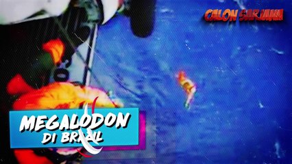 7 BUKTI PENAMPAKAN MEGALODON PALING JELAS YANG BERHASIL TEREKAM KAMERA!!!