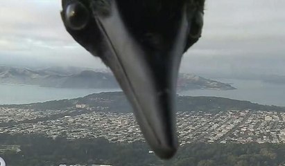 Hava durumu bülteninin davetsiz misafiri