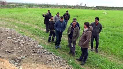 Kulübedeki 70 güvercin yangında telef oldu - ADANA