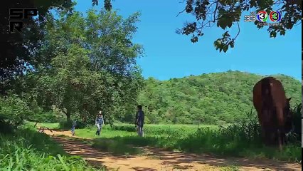 ស្រលាញ់ឫស្អប់ 37-38EP, Srolanh Rur Saorb 37-38EP