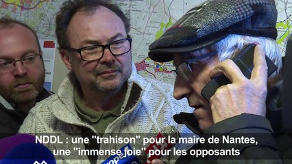 Abandon de NDDL: un "déni de démocratie" pour la maire de Nantes