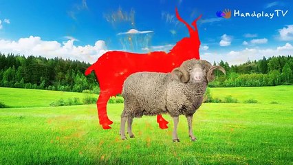 Learn Domestic Animals Sounds For Children | Best Way To Learn Animals Names For Kids And Toddlers