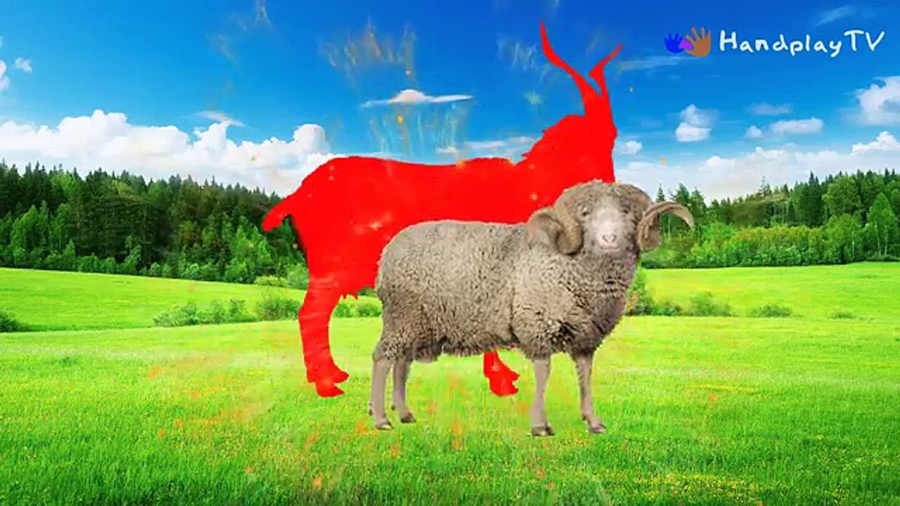 Learn Domestic Animals Sounds For Children | Best Way To Learn Animals Names For Kids And Toddlers