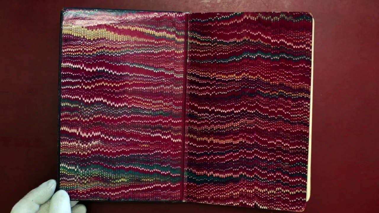 Extrait DVD PLUTÔT MOURIR QUE MOURIR de Natache Nisic