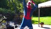 #1Frozen Elsa PRANK Spiderman- POOL FUN - Superheroes in Real Life and Learn Colors | Superheroes | Spiderman | Superman | Frozen Elsa | Joker