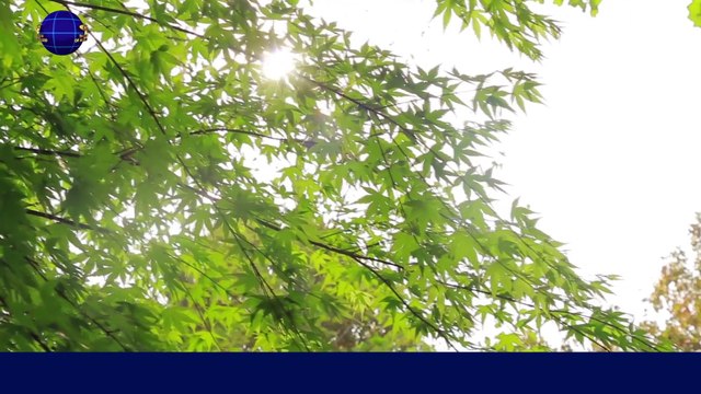 A Hymn of God's Words The Truth Behind God's Work in the Age of Kingdom | The Church of Almighty God