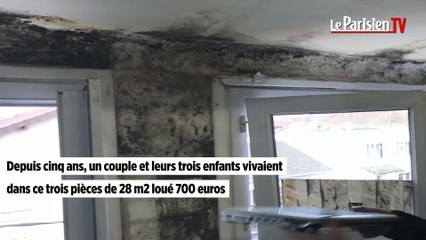 La Courneuve : le maire se bat contre les marchands de sommeil