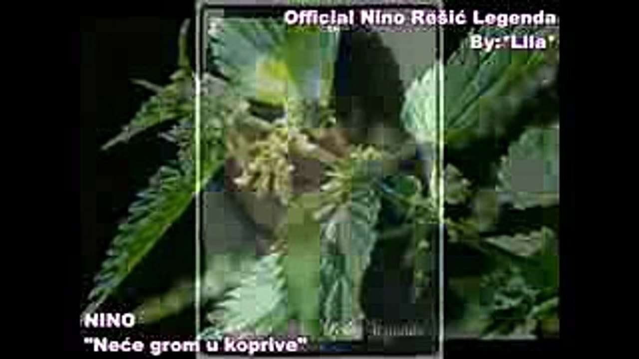 NINO REŠIĆ - NEĆE GROM U KOPRIVE