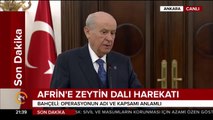 Afrin'e Zeytin Dalı Harekatı