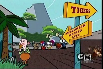 ¡Mucha Lucha! | 3ª Temporada | Episódio 38 | Macaquice | Dublado