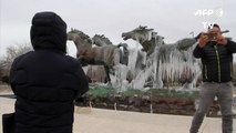 Bajas temperaturas congelan estatuas en México