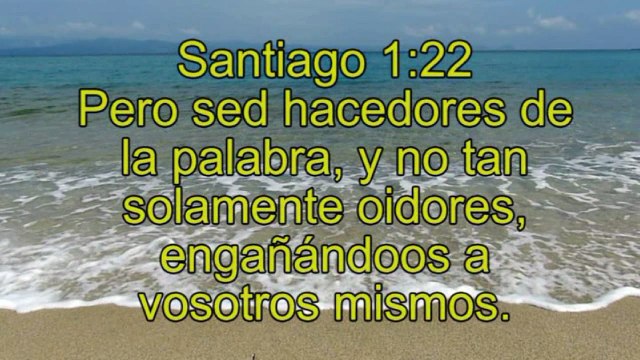 VERSICULOS DE LA BIBLIA-SOBRE LA PALABRA DE DIOS