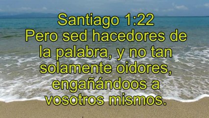 VERSICULOS DE LA BIBLIA-SOBRE LA PALABRA DE DIOS