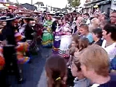 stella plage AVRIL 2007 058