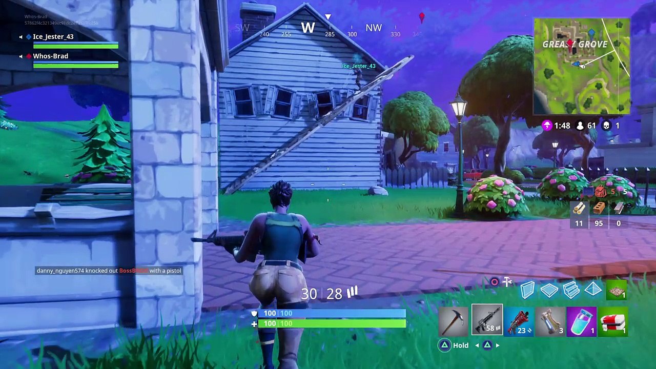 Fortnite_20180115235056