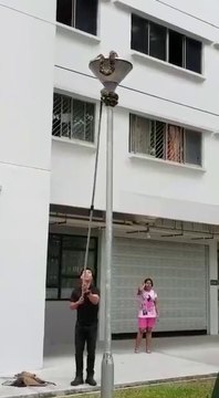 Quand un gros serpent donne du fil à retordre avant de se rendre