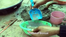 Great Idea to Make Bonsai Pots With Legs / Make Own Cemented Bonsai Pots /In Hindi // Mammal Bonsai