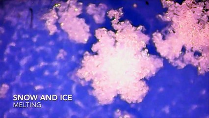 Frozen Snow and Ice Melting Under a Microscope