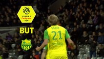 But Rene KRHIN (19ème) / Toulouse FC - FC Nantes - (1-1) - (TFC-FCN) / 2017-18