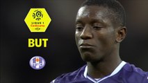 But Max-Alain GRADEL (90ème +5 pen) / Toulouse FC - FC Nantes - (1-1) - (TFC-FCN) / 2017-18