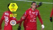 But Ellyes SKHIRI (33ème) / Amiens SC - Montpellier Hérault SC - (1-1) - (ASC-MHSC) / 2017-18