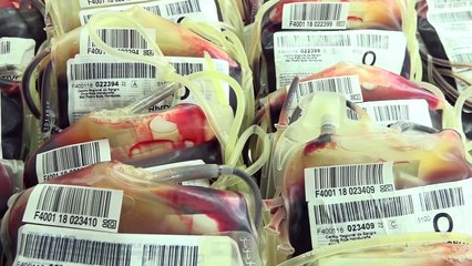 Arranca campaña de donación de sangre en el Catarino Rivas