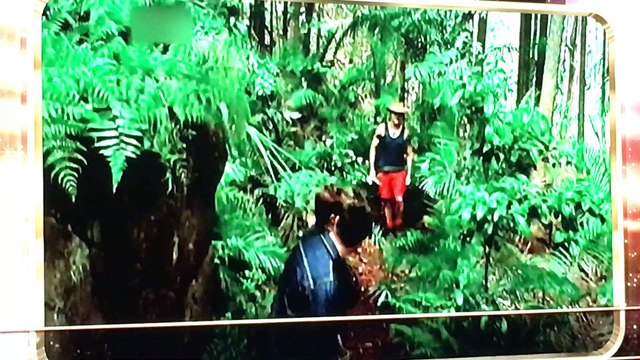 reality shows clips