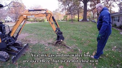 Shaking In It's Roots: How to Deal with Surface Tree Roots in Your Lawn with Case Mini-Excavator!
