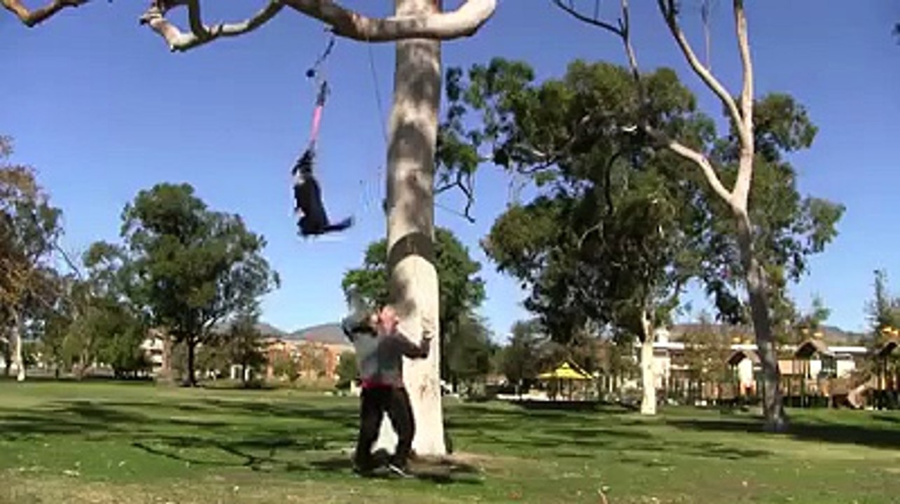 Funny Animal