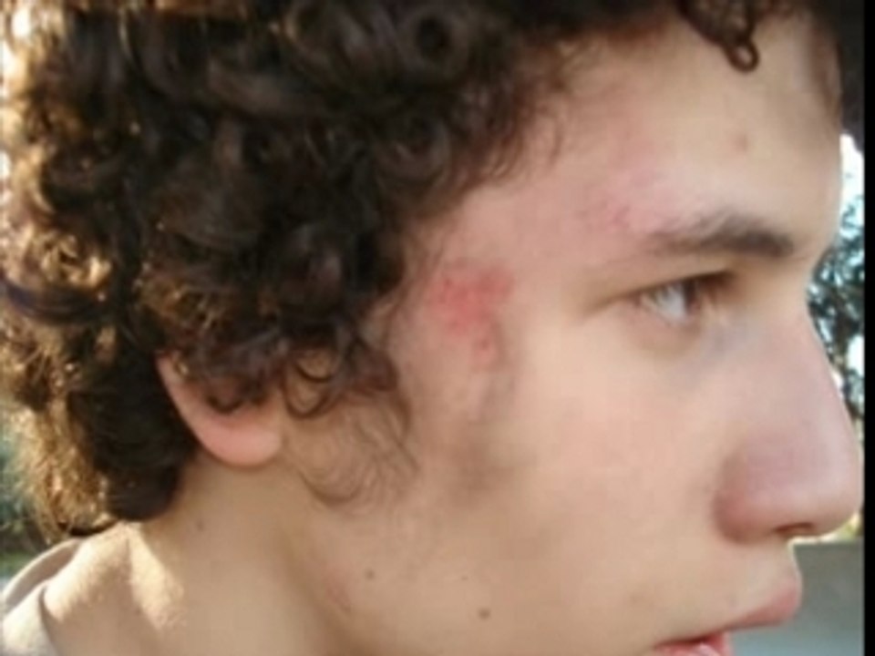 Souvenirs de 6 merdes sans avenir...