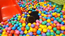 Indoor Playground Family Fun Play Area for kids playing with toys balls  & Baby playro