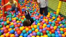 Indoor Playground Family Fun Play Area for kids playing with toys balls  & Baby playroom