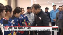 Two Koreas agree to form joint women's ice hockey team for PyeongChang 2018