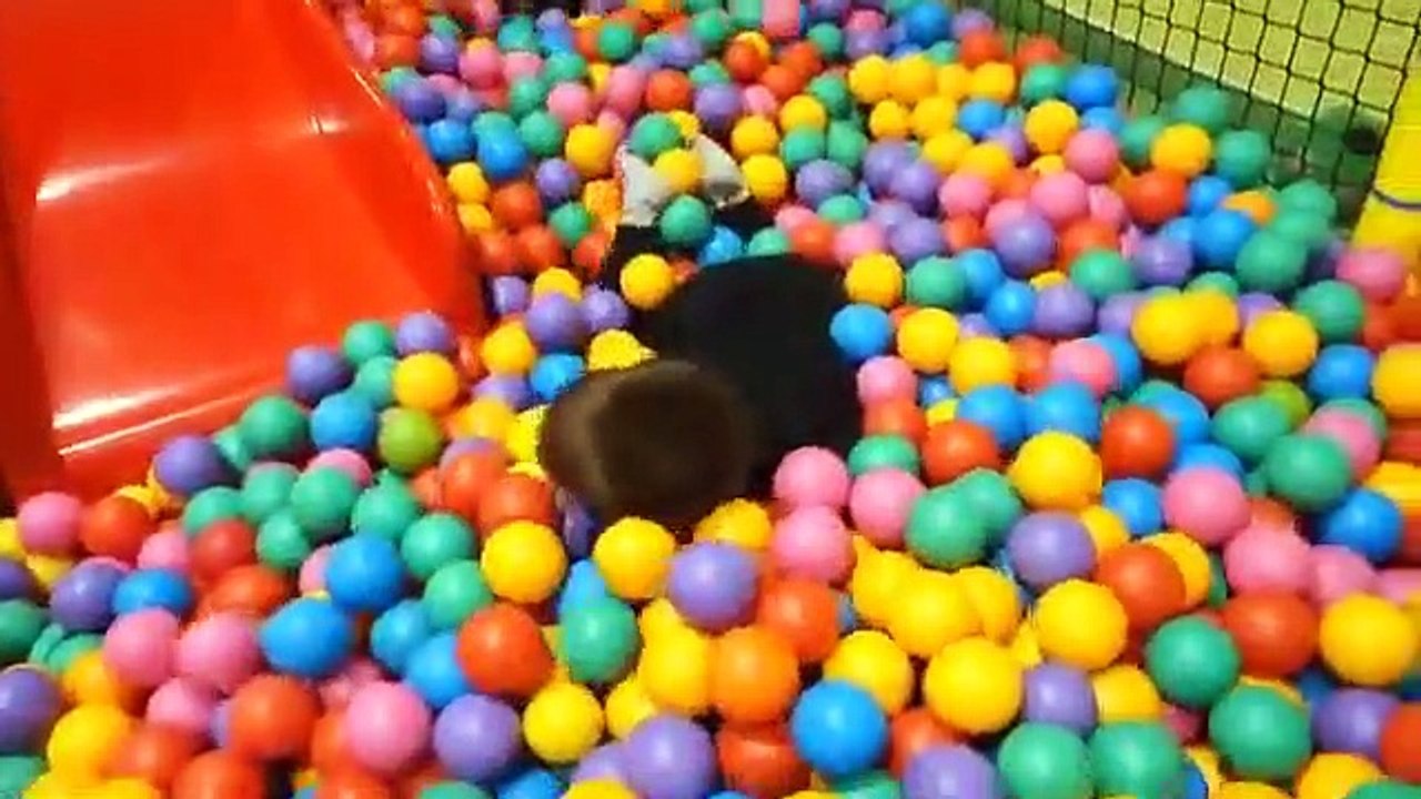 Indoor Playground Family Fun Play Area for kids playing with toys balls  & Baby playroom-e2_fE39D