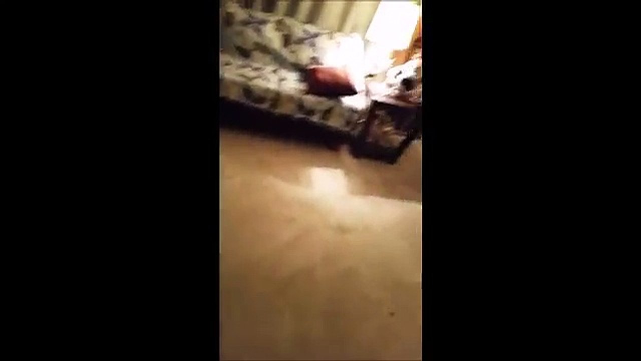 Too Fat to Put on Socks