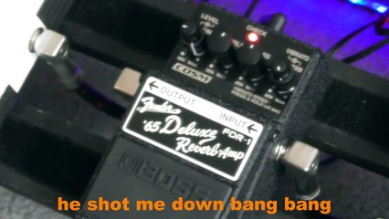 Boss FDR-1 Deluxe Reverb Pedal Review