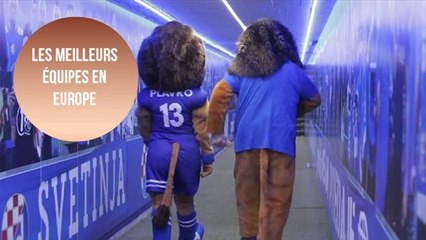 Ces clubs européens n'ont jamais perdu un match