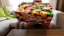 LEGO Surprise Toys BOX Family Fun Time - The LEGO NinjaG