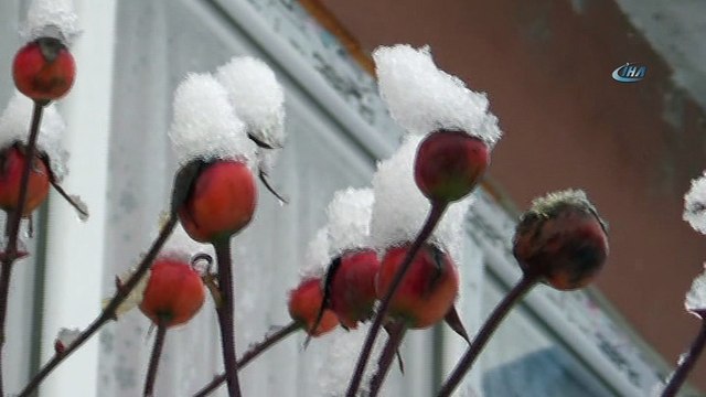 Beytüşşebap ve Uludere kar altında