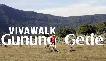 Perjalanan Tim VIVAwalk ke Gunung Gede (Part 2)