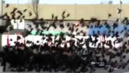 BIRDS VS AIRCRAFT ¦ VIDEO COLLECTION 2016 ¦ CRASH -=1 PART=-